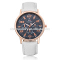 Hot Sale Montre en cuir de quartz simple de luxe SOXY046